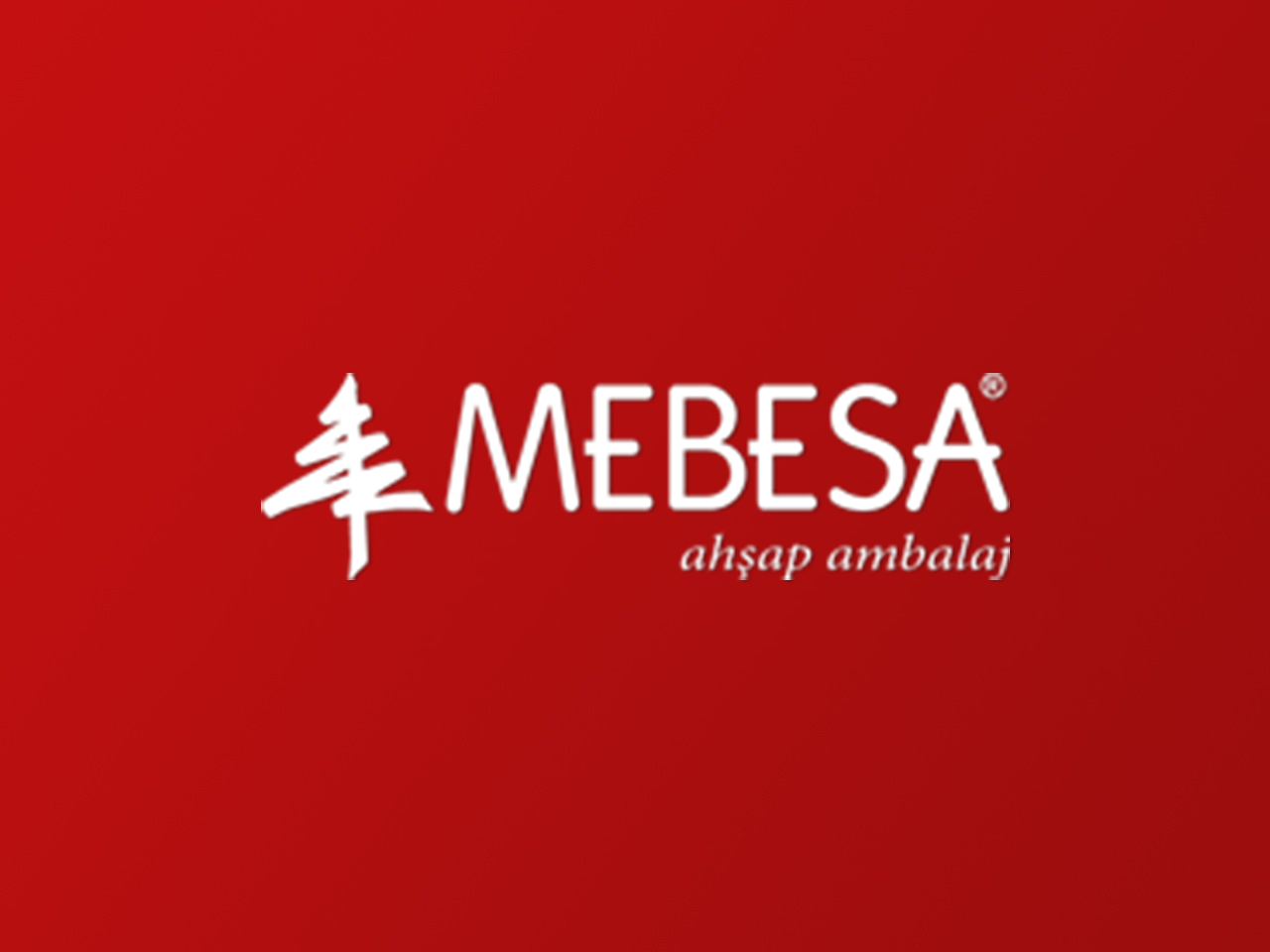 Mebasa